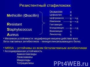 Резистентный стафилококк Methicillin (Oxacillin) ResistantStaphylococcusAureusОк