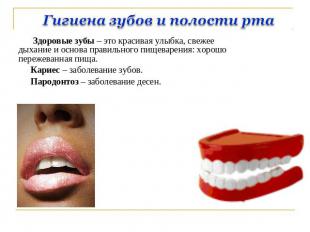 Гигиена зубов и полости рта Здоровые зубы – это красивая улыбка, свежее дыхание
