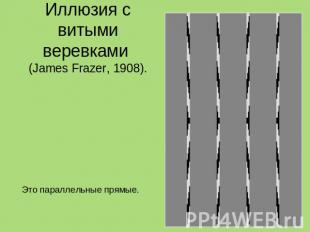 Иллюзия с витыми веревками (James Frazer, 1908). Это прямые или нет? Это паралле