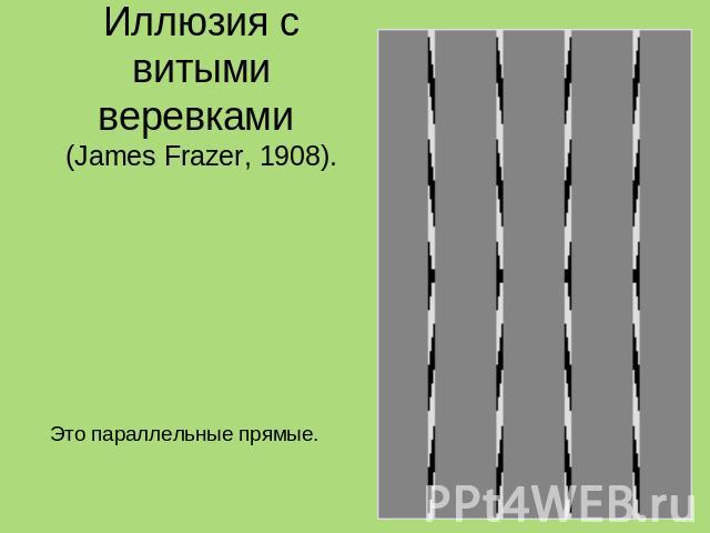 Иллюзия с витыми веревками (James Frazer, 1908). Это прямые или нет? Это параллельные прямые.