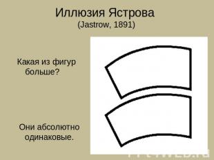 Иллюзия Ястрова (Jastrow, 1891) Какая из фигур больше? Они абсолютно одинаковые.