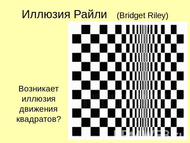 Иллюзия Райли (Bridget Riley) Возникает иллюзия движения квадратов?