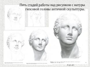 Пять стадий работы над рисунком с натуры гипсовой головы античной скульптуры.