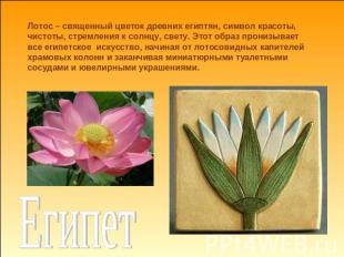 Лотос – священный цветок древних египтян, символ красоты, чистоты, стремления к
