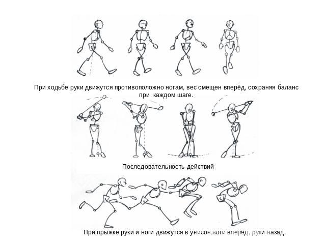 При ходьбе руки движутся противоположно ногам, вес смещен вперёд, сохраняя баланспри каждом шаге. Последовательность действий При прыжке руки и ноги движутся в унисон,ноги вперёд, руки назад.