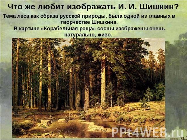 Что же любит изображать И. И. Шишкин? Тема леса как образа русской природы, была одной из главных в творчестве Шишкина.В картине «Корабельная роща» сосны изображены очень натурально, живо.
