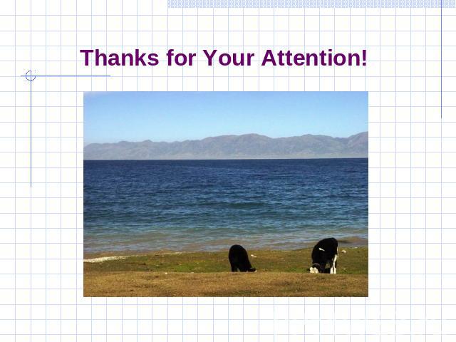 Thanks for Your Attention!