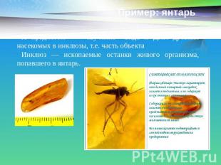 Пример: янтарь А предметом - изучение вида и ДНК древних насекомых в инклюзы, т.