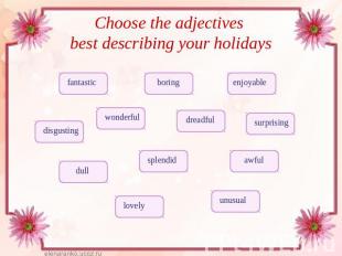 Choose the adjectives best describing your holidays