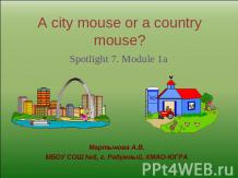 A city mouse or a country mouse