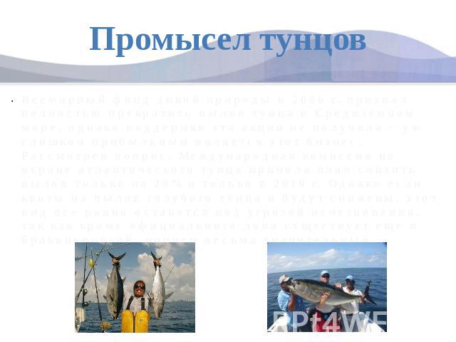 Промысел тунцовВсемирный фонд дикой природы в 2006 г. призвал полностью прекратить вылов тунца в Средиземном море, однако поддержки эта акция не получила – уж слишком прибыльным является этот бизнес. Рассмотрев вопрос, Международная комиссия по охра…