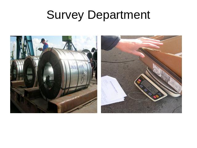 Survey Department