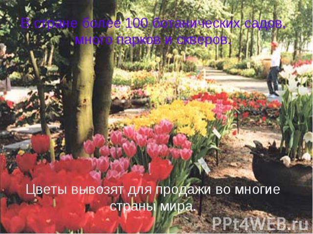 В стране более 100 ботанических садов, много парков и скверов.Цветы вывозят для продажи во многие страны мира.