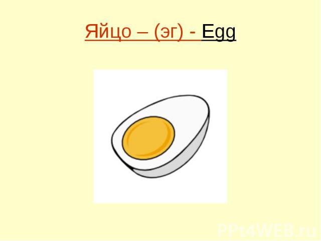 Яйцо – (эг) - Egg