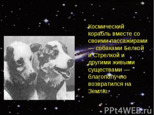 Космический корабль вместе со своими пассажирами — собаками Белкой и Стрелкой и