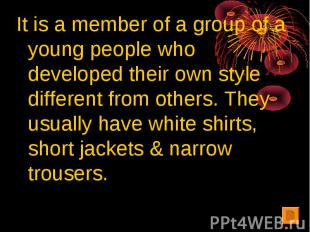 It is a member of a group of a young people who developed their own style differ
