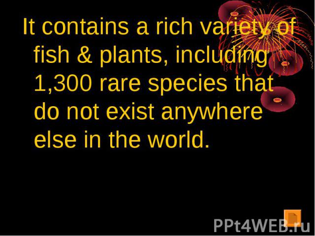 It contains a rich variety of fish & plants, including 1,300 rare species that do not exist anywhere else in the world.