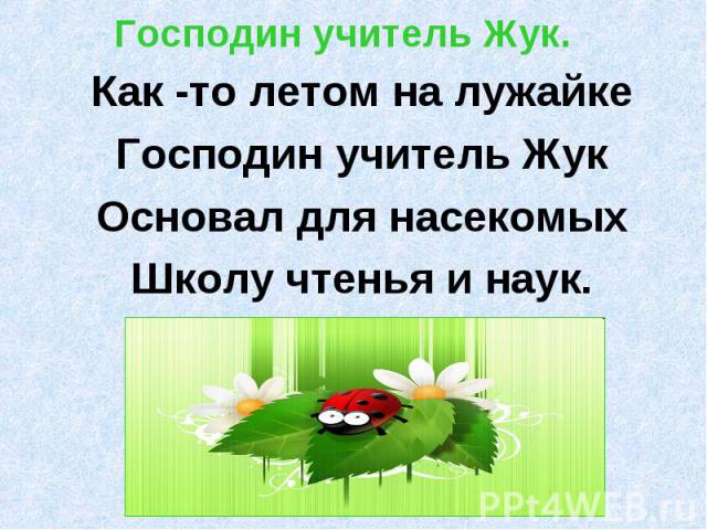 Господин учитель Жук. Как -то летом на лужайкеГосподин учитель ЖукОсновал для насекомыхШколу чтенья и наук.