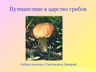 Путешествие в царство грибов Работу выполнил Севостьянов Дмитрий