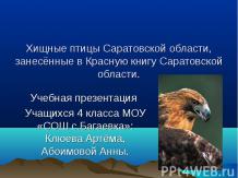 Хищные птицы Саратовской области, занесённые в Красную книгу Саратовской области