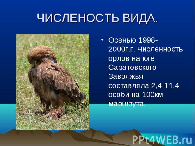 ЧИСЛЕНОСТЬ ВИДА. Осенью 1998-2000г.г. Численность орлов на юге Саратовского Заволжья составляла 2,4-11,4 особи на 100км маршрута.