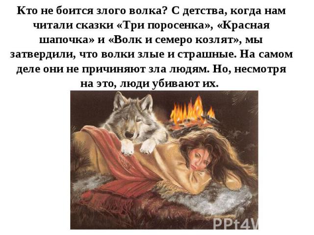 Кто не боится злого волка? С детства, когда нам читали сказки «Три поросенка», «Красная шапочка» и «Волк и семеро козлят», мы затвердили, что волки злые и страшные. На самом деле они не причиняют зла людям. Но, несмотря на это, люди убивают их.