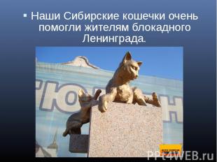 Наши Сибирские кошечки очень помогли жителям блокадного Ленинграда.