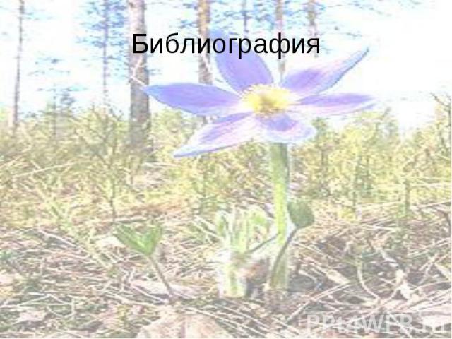 Фото растения красной книги рязанской области фото и описание