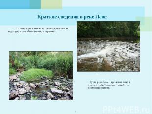 Краткие сведения о реке Лаве В течении реки можно встретить и небольшие водопады