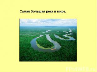 Самая большая река в мире.
