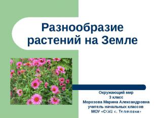 Разнообразие растений на Земле Окружающий мир3 классМорозова Марина Александровн