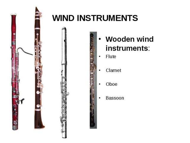 WIND INSTRUMENTS Wooden wind instruments:FluteClarnetOboeBassoon