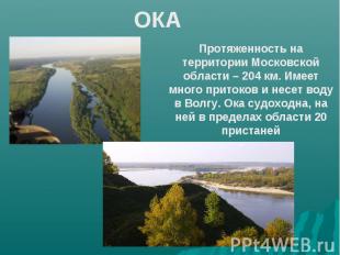 ОКА Протяженность на территории Московской области – 204 км. Имеет много притоко