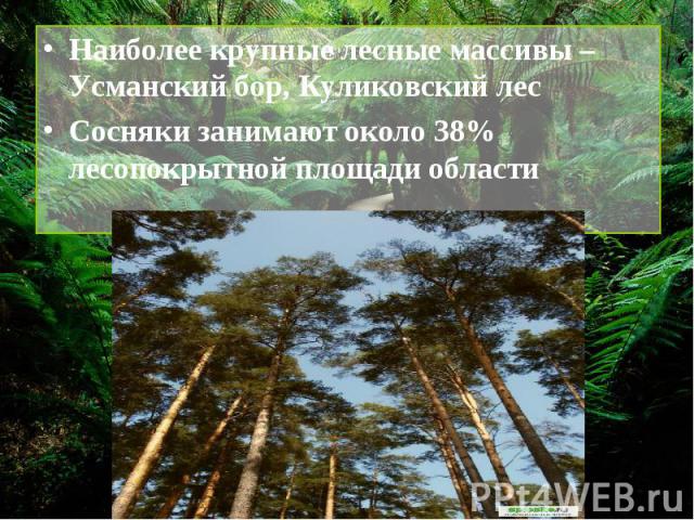 Наиболее крупные лесные массивы – Усманский бор, Куликовский лесСосняки занимают около 38% лесопокрытной площади области