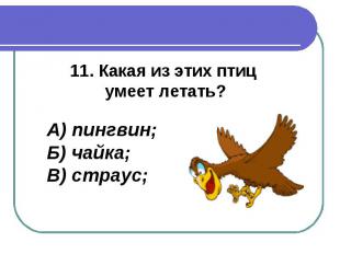 11. Какая из этих птиц умеет летать?А) пингвин;Б) чайка;В) страус;