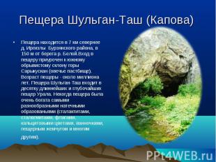 Пещера Шульган-Таш (Капова) Пещера находится в 7 км севернее д. Иргизлы Бурзянск