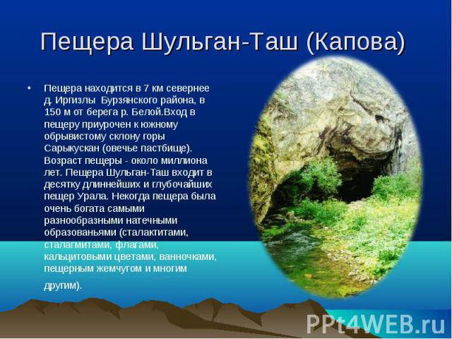 Пещера Шульган-Таш (Капова) Пещера находится в 7 км севернее д. Иргизлы Бурзянского района, в 150 м от берега р. Белой.Вход в пещеру приурочен к южному обрывистому склону горы Сарыкускан (овечье пастбище). Возраст пещеры - около миллиона лет. Пещера…