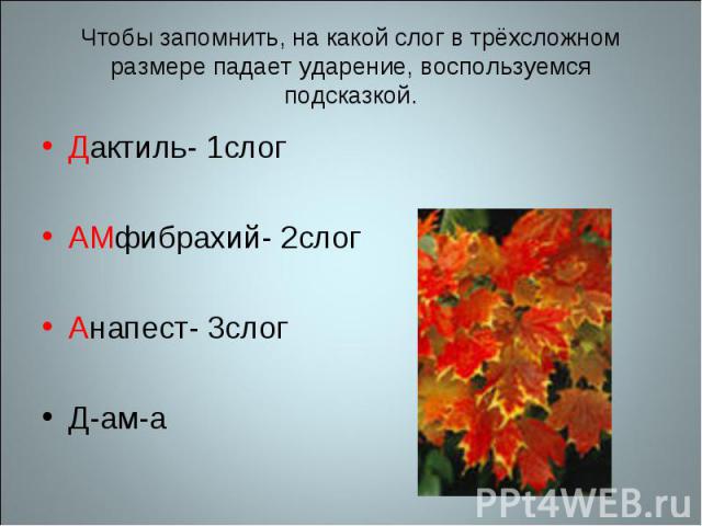 Чтобы запомнить, на какой слог в трёхсложном размере падает ударение, воспользуемся подсказкой. Дактиль- 1слогАМфибрахий- 2слогАнапест- 3слогД-ам-а