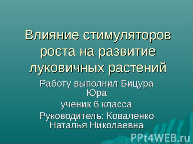 Влияние стимуляторов роста на развитие луковичных растений Работу выполнил Бицура Юраученик 6 классаРуководитель: Коваленко Наталья Николаевна