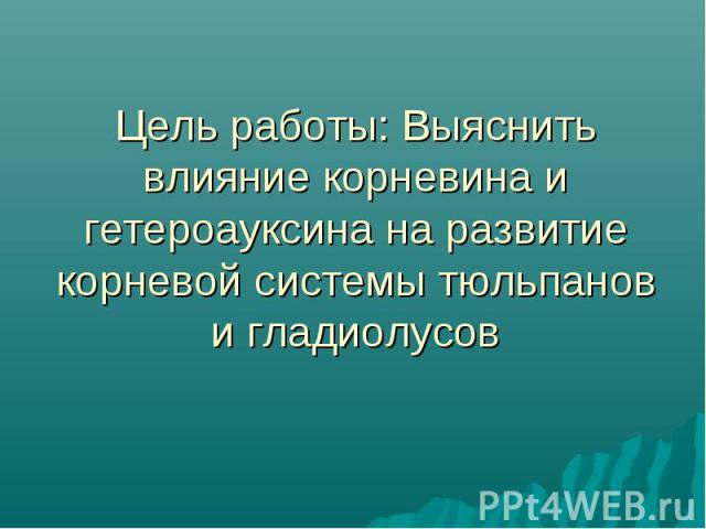 Цель работы: Выяснить влияние корневина и гетероауксина на развитие корневой системы тюльпанов и гладиолусов