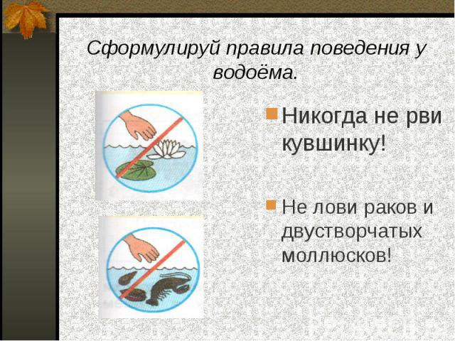 Сформулируй правила поведения у водоёма. Никогда не рви кувшинку!Не лови раков и двустворчатых моллюсков!