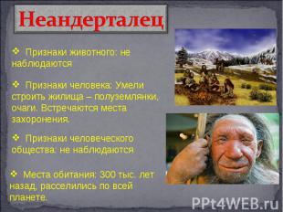Неандерталец Признаки животного: не наблюдаются Признаки человека: Умели строить