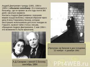 Андрей Дмитриевич трижды (1981, 1984 и 1985гг.) объявлял голодовку. Его помещали