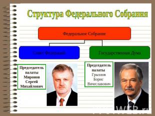 Структура Федерального Собрания Председатель палаты Миронов Сергей МихайловичПре