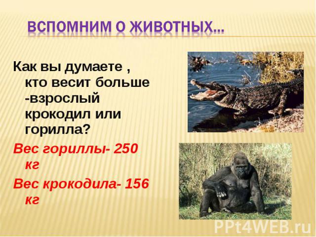 Вспомним о животных… Как вы думаете , кто весит больше -взрослый крокодил или горилла?Вес гориллы- 250 кгВес крокодила- 156 кг
