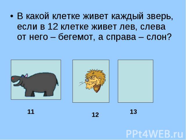 В какой клетке живет каждый зверь, если в 12 клетке живет лев, слева от него – бегемот, а справа – слон?