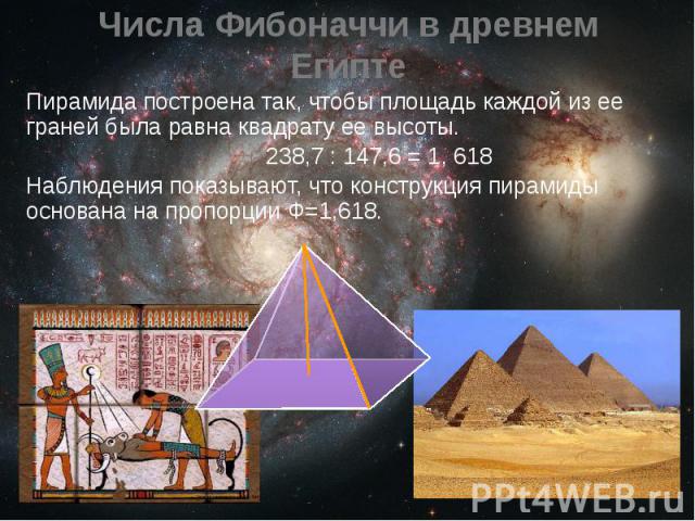 Числа Фибоначчи в древнем Египте Пирамида построена так, чтобы площадь каждой из ее граней была равна квадрату ее высоты. 238,7 : 147,6 = 1, 618Наблюдения показывают, что конструкция пирамиды основана на пропорции Ф=1,618.