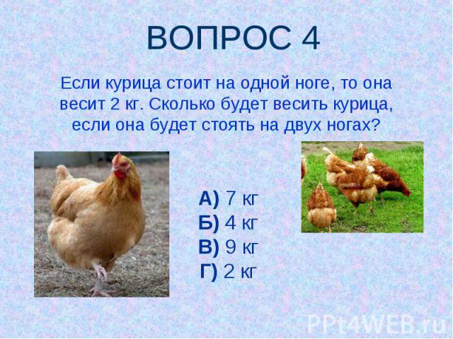 ВОПРОС 4 Если курица стоит на одной ноге, то она весит 2 кг. Сколько будет весить курица, если она будет стоять на двух ногах? А) 7 кгБ) 4 кгВ) 9 кгГ) 2 кг