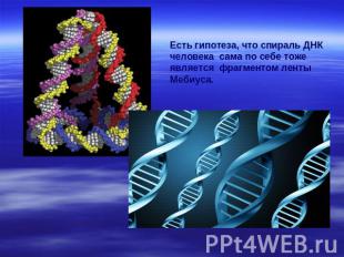 Есть гипотеза, что спираль ДНКчеловека сама по себе тоже является фрагментом лен