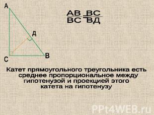 Катет прямоугольного треугольника есть среднее пропорциональное междугипотенузой